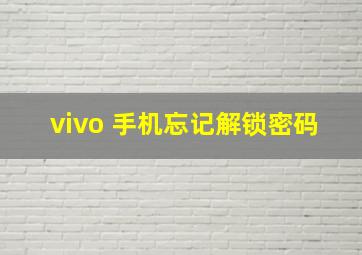 vivo 手机忘记解锁密码